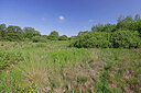 BUITEN BEELD Foto: 451307