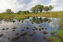 BUITEN BEELD Foto: 451311