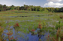 BUITEN BEELD Foto: 451316