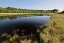 BUITEN BEELD Foto: 451319