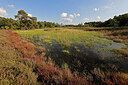 BUITEN BEELD Foto: 451320