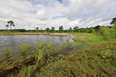 BUITEN BEELD Foto: 451322
