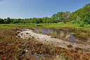 BUITEN BEELD Foto: 451324