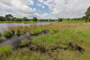 BUITEN BEELD Foto: 451326