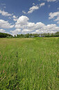 BUITEN BEELD Foto: 451337