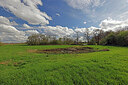 BUITEN BEELD Foto: 451342