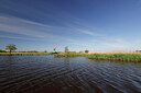 BUITEN BEELD Foto: 451347