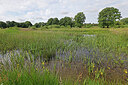 BUITEN BEELD Foto: 451352