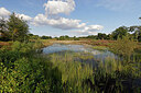 BUITEN BEELD Foto: 451353