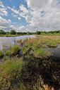 BUITEN BEELD Foto: 451354