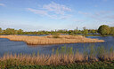 BUITEN BEELD Foto: 451358