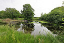BUITEN BEELD Foto: 451361