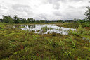 BUITEN BEELD Foto: 451362