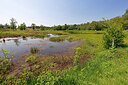 BUITEN BEELD Foto: 451365