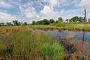 BUITEN BEELD Foto: 451367