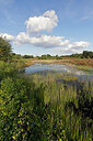 BUITEN BEELD Foto: 451373