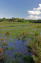 BUITEN BEELD Foto: 451376
