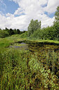 BUITEN BEELD Foto: 451378