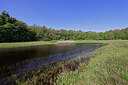 BUITEN BEELD Foto: 451389