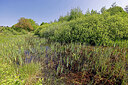 BUITEN BEELD Foto: 451390