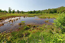BUITEN BEELD Foto: 451391