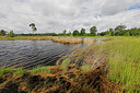 BUITEN BEELD Foto: 451395