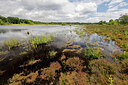 BUITEN BEELD Foto: 451396