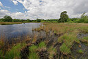 BUITEN BEELD Foto: 451397