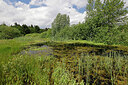 BUITEN BEELD Foto: 451399