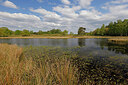 BUITEN BEELD Foto: 451400