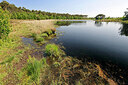BUITEN BEELD Foto: 451401