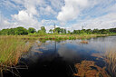 BUITEN BEELD Foto: 451402
