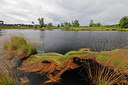 BUITEN BEELD Foto: 451404