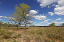 BUITEN BEELD Foto: 451417