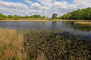 BUITEN BEELD Foto: 451422