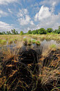 BUITEN BEELD Foto: 451426