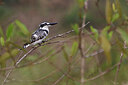 BUITEN BEELD Foto: 451497