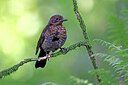 BUITEN BEELD Foto: 451504