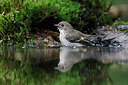 BUITEN BEELD Foto: 451508