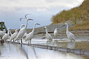 BUITEN BEELD Foto: 451534