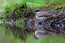 BUITEN BEELD Foto: 451541