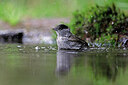 BUITEN BEELD Foto: 451555