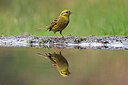BUITEN BEELD Foto: 451557