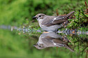 BUITEN BEELD Foto: 451583