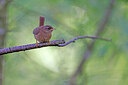 BUITEN BEELD Foto: 451591