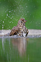 BUITEN BEELD Foto: 451592