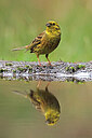BUITEN BEELD Foto: 451603