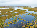 BUITEN BEELD Foto: 451662