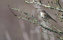 BUITEN BEELD Foto: 451696