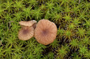 BUITEN BEELD Foto: 451709